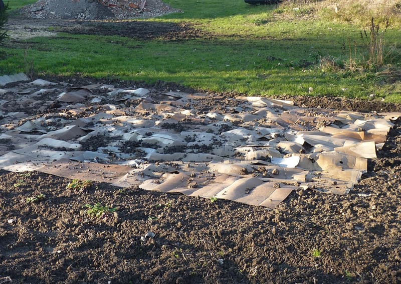 Flattened cardboard sheets laid in overlapping rows over bare ground beside green lawn, the first layer of a new bed