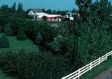 Rows of shrubs, blue-green conifers and tall leafy trees sheltering a red barn and a white farmhouse
