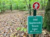 Green Essex Land Trust town line sign on a post among trees over a leaf-covered floor