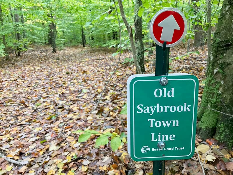 Green Essex Land Trust town line sign on a post among trees over a leaf-covered floor