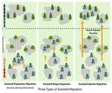 Three-panel diagram with orange arrows moving trees within a range, just past its edge and far beyond it