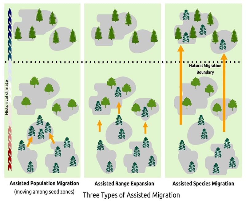Three-panel diagram with orange arrows moving trees within a range, just past its edge and far beyond it