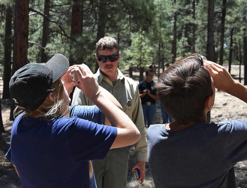 How to measure tree height: the sine method, not tangent