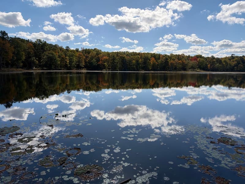 Still lake mirroring white clouds, ringed by hardwoods in fall color down to the waterline, with lily pads in front