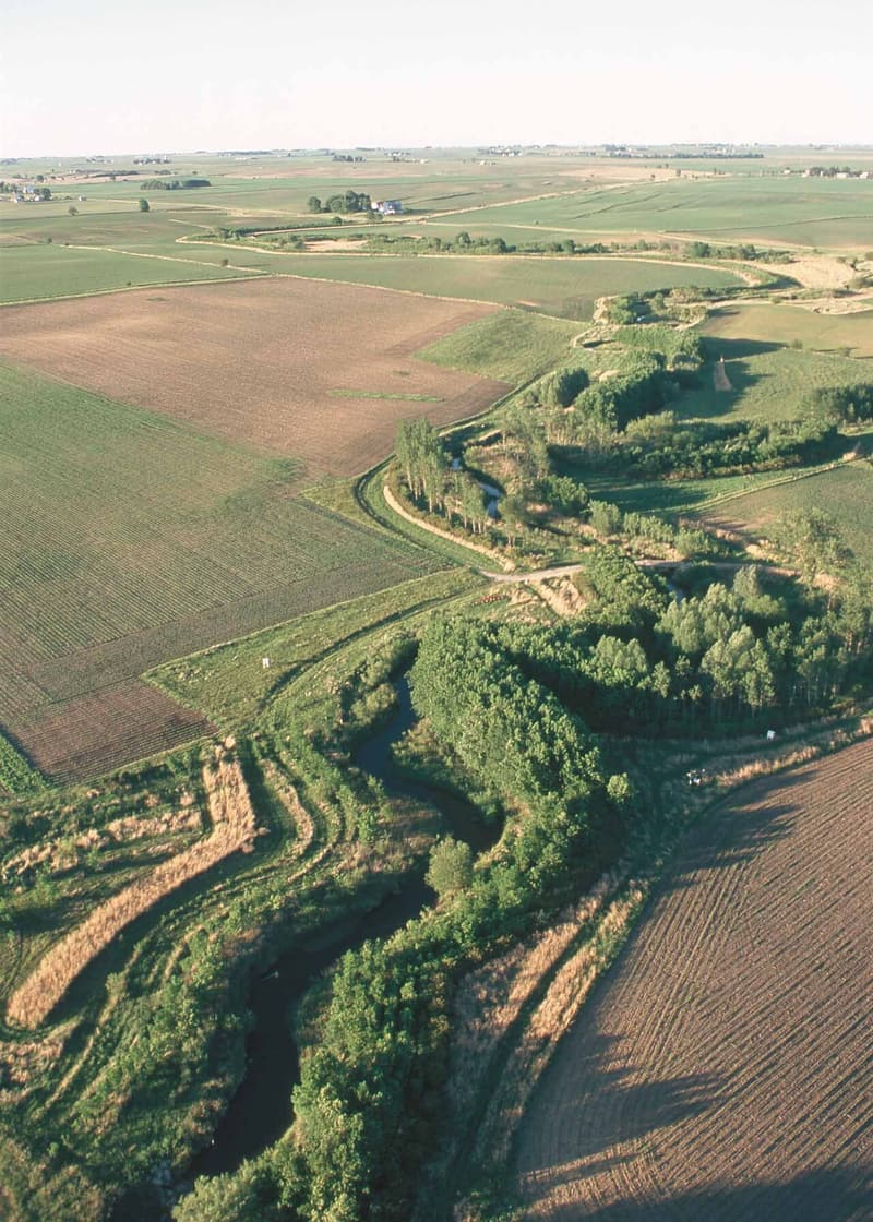 Aerial view of a creek winding through farm fields, lined with tall trees, with strips of tan grass along the field edges